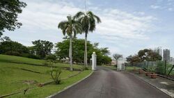 Hillview Avenue (D23), Detached #523146531